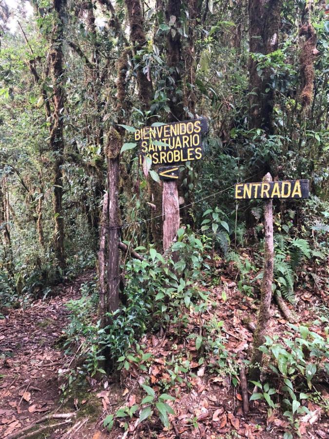 Cabana De Montana La Magnolia, Cerro De La Muerte De La Canuela Cloud Forest Tres de Junio 外观 照片